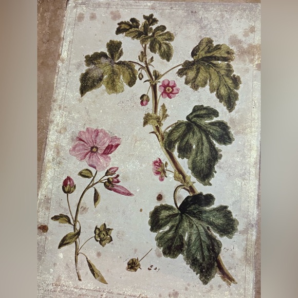 Williamsburg Creative Co-op Framed Floral Art Print 10x13 Rustic Cottagecore - Picture 4 of 10